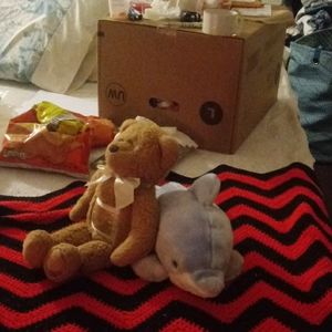 Stuffed animals a brown bear and dophin